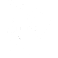 Expertise