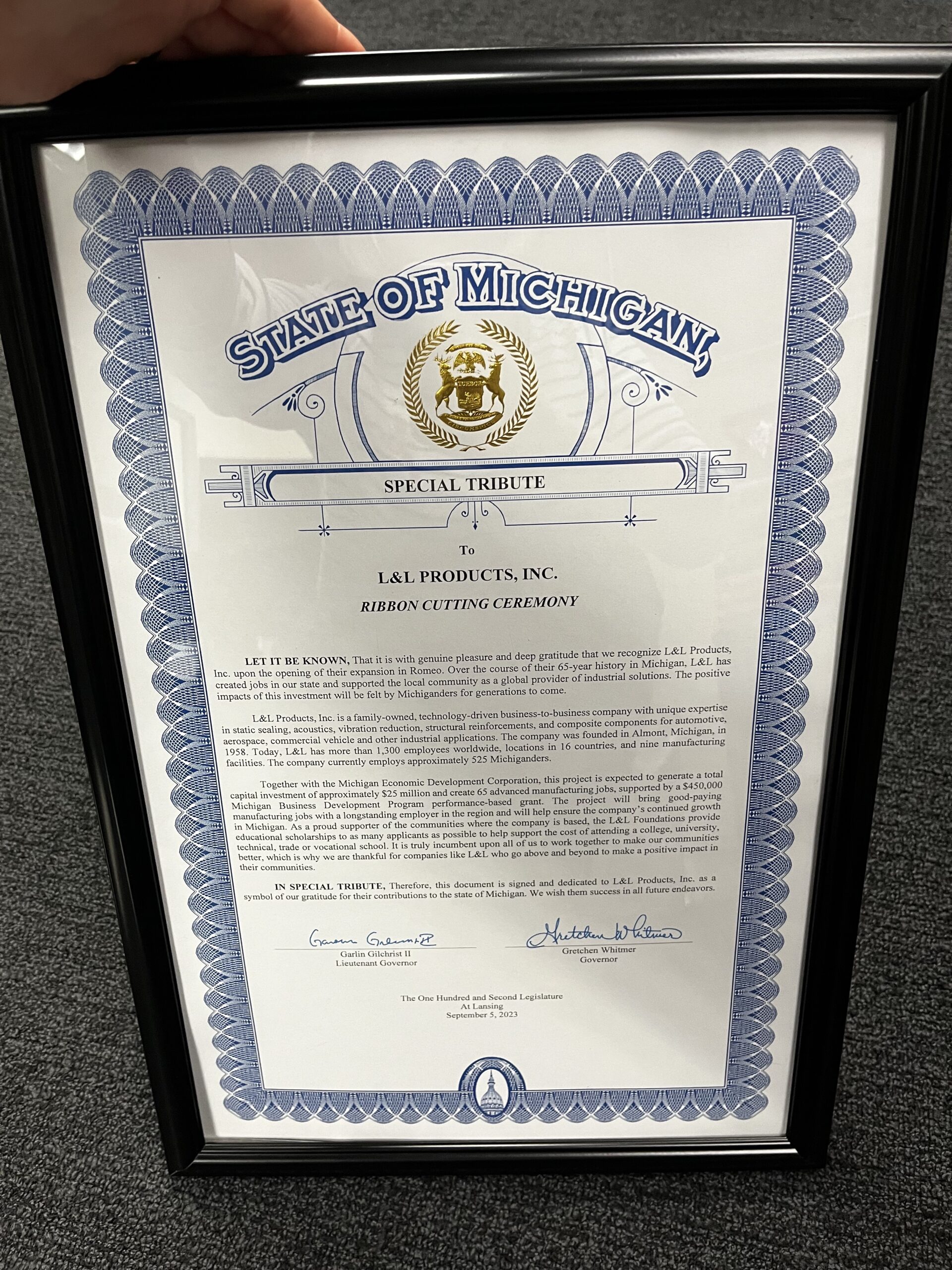 Downloadable content Downloadable content